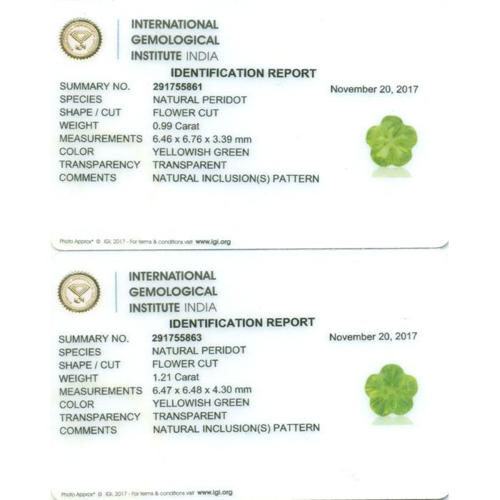 IGI Certified - Set of 2 Flower Cut Peridots PAKISTAN